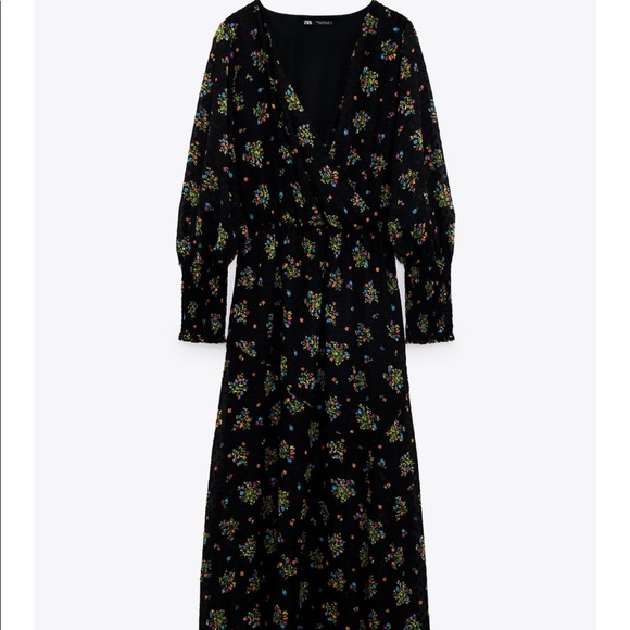 Zara Printed Dotted Mesh Dress - Picture 4 of 7